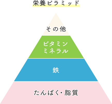 栄養ピラミッド